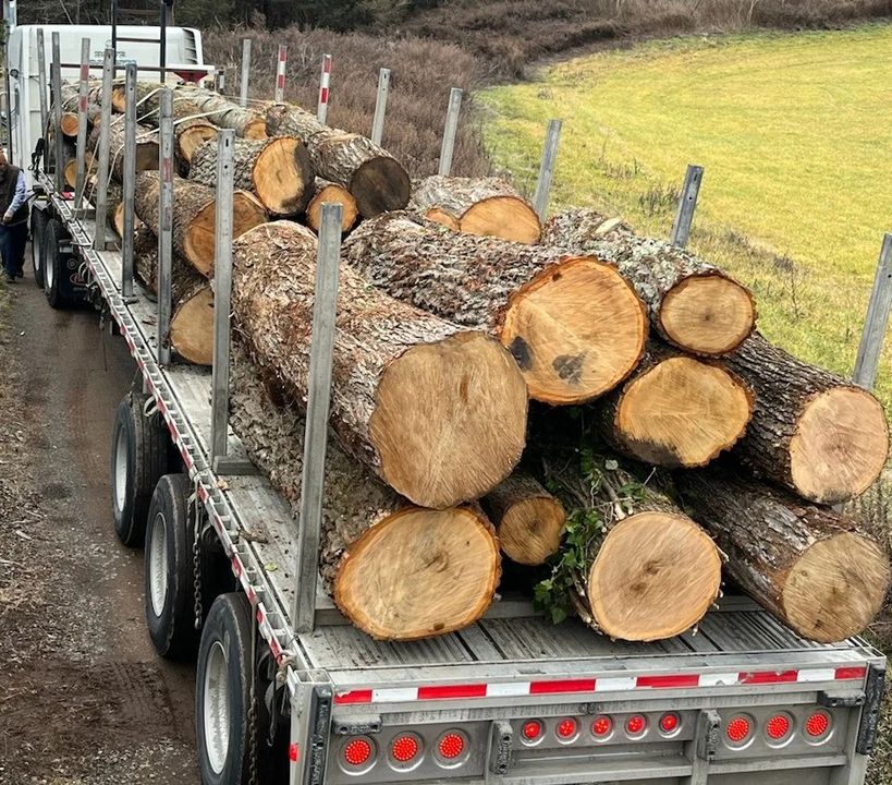 Log Prep Tip of the Week: Preparing to Load a Trailer - Mill Market