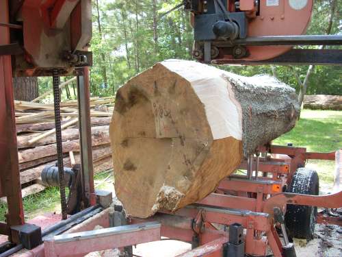 Flared Log Log Prep Tip of the Week: Dealing with Butt Flare - Mill Market