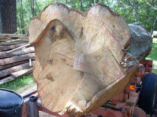 Flared Log Log Prep Tip of the Week: Dealing with Butt Flare - Mill Market