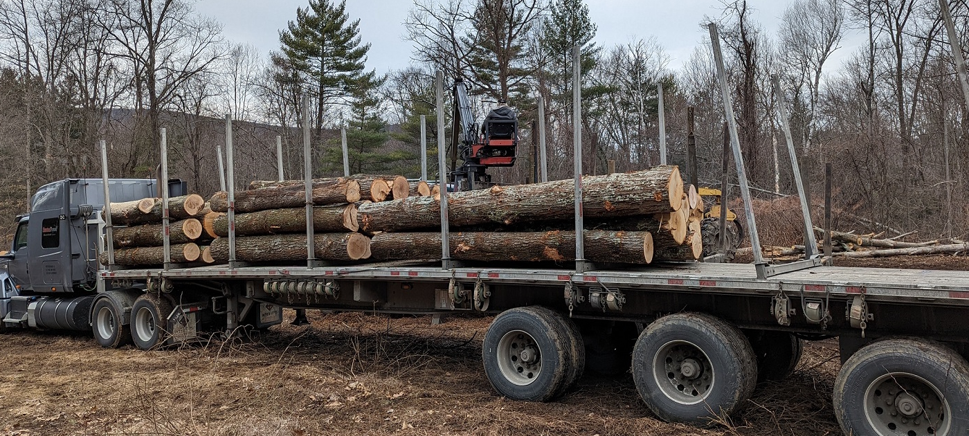 We'll send a truck to pick up your logs and you can earn $1,200-$3,000+ per load